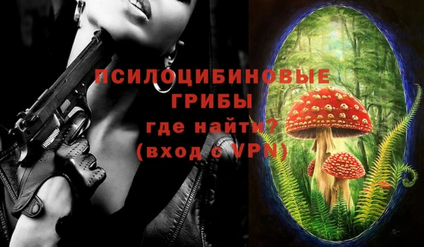 ECSTASY Россошь