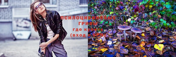 марки nbome Баксан