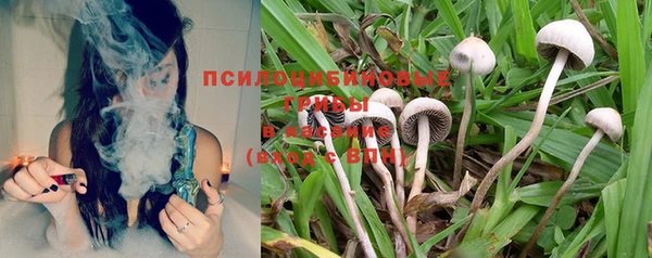 дживик Балахна