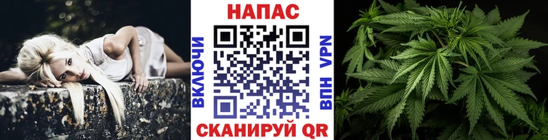 Канабис гибрид  Корсаков 